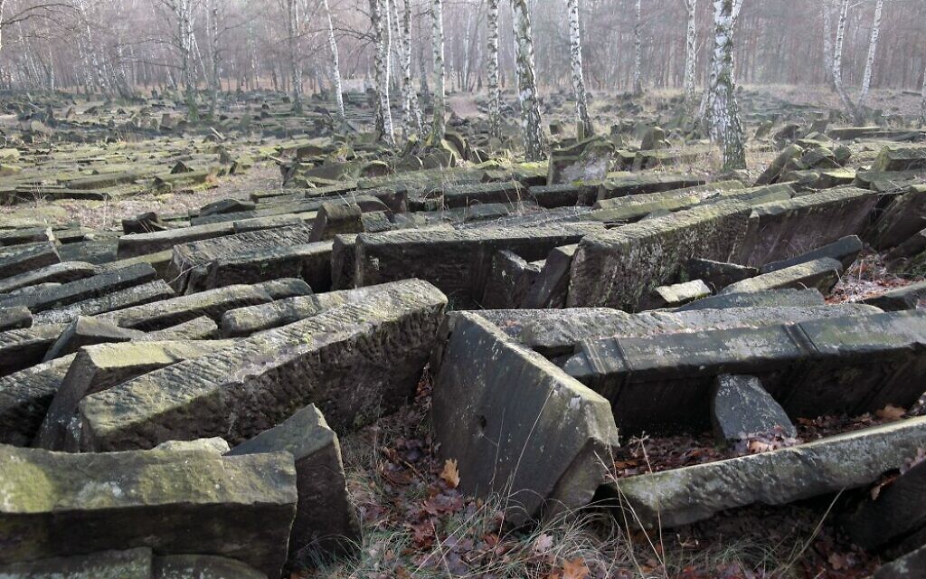 Brodno Jewish cemetery in Warsaw, Poland desecrated during WW2 (courtesy: Christian Herrman/vanishedworld.blog)